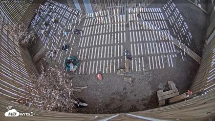 Cobequid Raptor Flight Facility Live Webcams - Sep 22, 2026, 3:15pm ADT