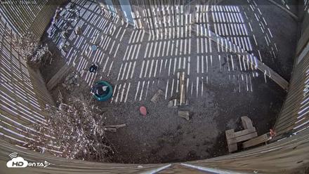 Cobequid Raptor Flight Facility Live Webcams - Sep 22, 2026, 3:36pm ADT