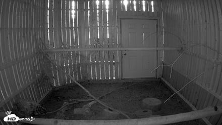 Cobequid Raptor Flight Facility Live Webcams - Sep 22, 2026, 7:00pm ADT