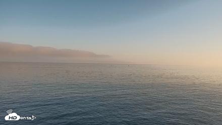 Monterey Cannery Row Live Webcam - Oct 7, 2026, 7:51am PDT