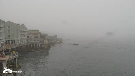 Monterey Cannery Row Live Webcam - Jun 12, 2026, 7:37am PDT