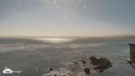 Monterey Cannery Row Live Webcam - Jul 16, 2026, 9:37am PDT