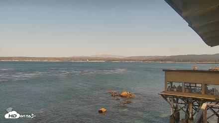 Monterey Cannery Row Live Webcam - Jun 16, 2026, 2:32pm PDT