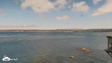 Monterey Cannery Row Live Webcam - Aug 15, 2026, 2:47pm PDT