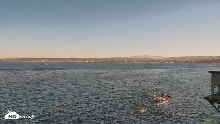 Monterey Cannery Row Live Webcam - Oct 15, 2026, 12:52pm PDT