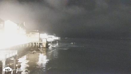 Monterey Cannery Row Live Webcam - Oct 1, 2026, 8:10pm PDT
