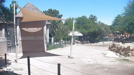 Reid Park Zoo Giraffes Live Webcam - May 14, 2026, 11:09am MST
