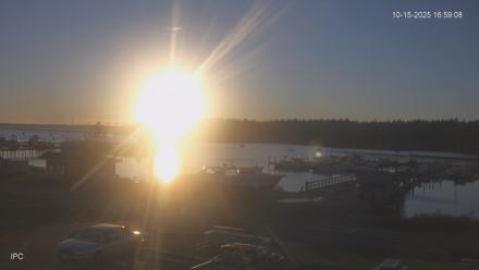 Lopez Island Marina Live Webcam - Oct 15, 2025, 5:59pm PDT