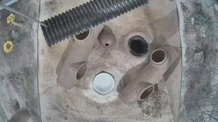 Fort Collins Museum of Discovery Black-Footed Ferret Live Cam - Nov 24, 2025, 5:06pm MST