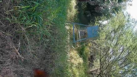 Texas Wildlifers Deer Feeder Live Cam - Nov 9, 2025, 2:22pm CST