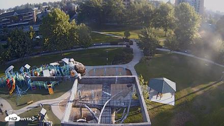 Coeur d'Alene Idaho Nest Platform Live Webcam - Jul 31, 2026, 6:52am PDT