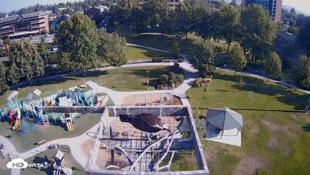 Coeur d'Alene Idaho Nest Platform Live Webcam - Aug 20, 2026, 8:42am PDT
