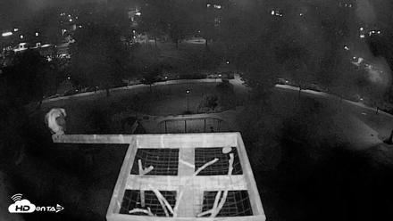 Coeur d'Alene Idaho Nest Platform Live Webcam - Aug 4, 2026, 4:08am PDT