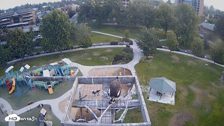 Coeur d'Alene Idaho Nest Platform Live Webcam - Aug 16, 2026, 6:20am PDT