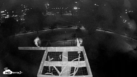 Coeur d'Alene Idaho Nest Platform Live Webcam - Aug 12, 2026, 2:50am PDT