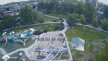 Coeur d'Alene Idaho Nest Platform Live Webcam - Aug 30, 2026, 6:21am PDT