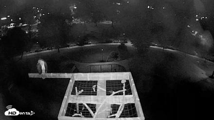 Coeur d'Alene Idaho Nest Platform Live Webcam - Aug 15, 2026, 3:32am PDT
