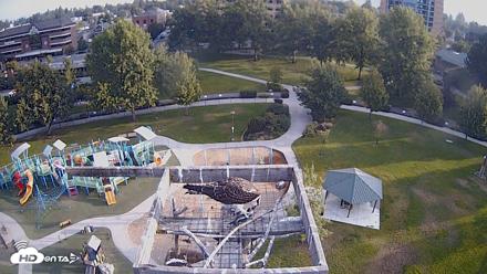 Coeur d'Alene Idaho Nest Platform Live Webcam - Aug 21, 2026, 7:20am PDT