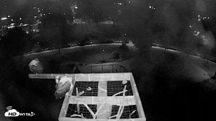 Coeur d'Alene Idaho Nest Platform Live Webcam - Aug 7, 2026, 3:43am PDT
