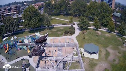 Coeur d'Alene Idaho Nest Platform Live Webcam - Aug 10, 2026, 2:03pm PDT