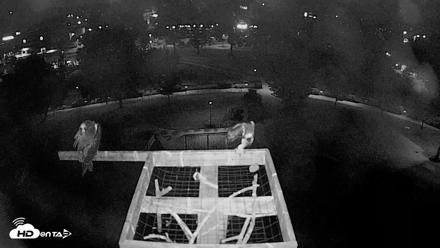 Coeur d'Alene Idaho Nest Platform Live Webcam - Aug 10, 2026, 3:57am PDT