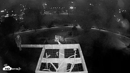 Coeur d'Alene Idaho Nest Platform Live Webcam - Aug 13, 2026, 3:08am PDT