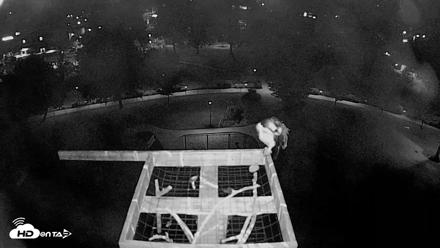 Coeur d'Alene Idaho Nest Platform Live Webcam - Aug 16, 2026, 3:24am PDT