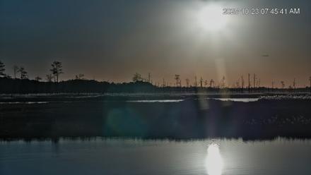 Blackwater Wildlife Refuge Osprey River Platform Live Cam - Oct 23, 2025, 7:46am EDT