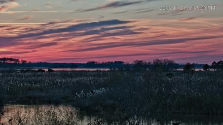 Blackwater Wildlife Refuge Osprey River Platform Live Cam - Nov 1, 2025, 6:06pm EDT