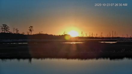 Blackwater Wildlife Refuge Osprey River Platform Live Cam - Oct 23, 2025, 7:27am EDT