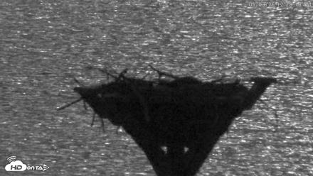 Blackwater Wildlife Refuge Osprey River Platform Live Cam - May 3, 2026, 12:29am EDT
