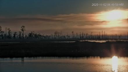 Blackwater Wildlife Refuge Osprey River Platform Live Cam - Nov 2, 2025, 6:50am EST