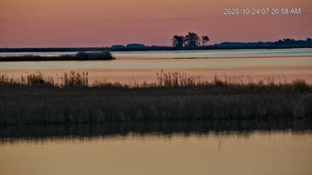 Blackwater Wildlife Refuge Osprey River Platform Live Cam - Oct 24, 2025, 7:21am EDT