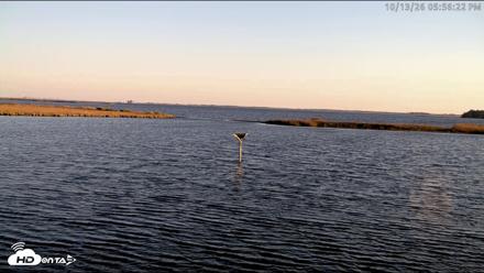 Blackwater Wildlife Refuge Osprey River Platform Live Cam - Oct 13, 2026, 5:58pm EDT