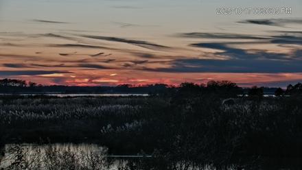 Blackwater Wildlife Refuge Osprey River Platform Live Cam - Oct 17, 2025, 6:37pm EDT