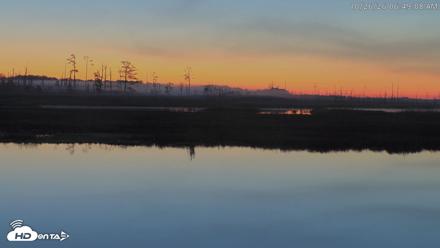 Blackwater Wildlife Refuge Osprey River Platform Live Cam - Oct 26, 2026, 6:50am EDT