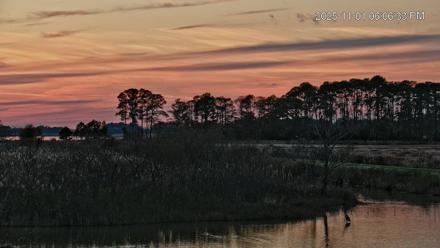Blackwater Wildlife Refuge Osprey River Platform Live Cam - Nov 1, 2025, 6:07pm EDT