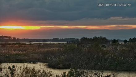 Blackwater Wildlife Refuge Osprey River Platform Live Cam - Oct 19, 2025, 6:13pm EDT