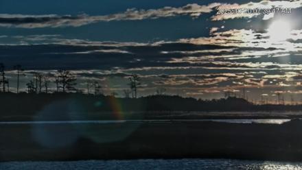 Blackwater Wildlife Refuge Osprey River Platform Live Cam - Oct 20, 2025, 7:40am EDT