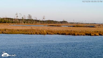 Blackwater Wildlife Refuge Osprey River Platform Live Cam - Oct 13, 2026, 5:50pm EDT
