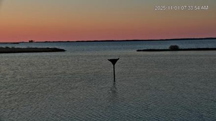 Blackwater Wildlife Refuge Osprey River Platform Live Cam - Nov 1, 2025, 7:34am EDT