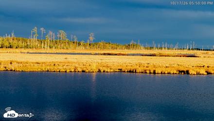 Blackwater Wildlife Refuge Osprey River Platform Live Cam - Oct 17, 2026, 5:50pm EDT