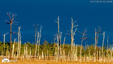 Blackwater Wildlife Refuge Osprey River Platform Live Cam - Oct 17, 2026, 5:53pm EDT