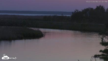 Blackwater Wildlife Refuge Osprey River Platform Live Cam - Oct 27, 2026, 6:51pm EDT