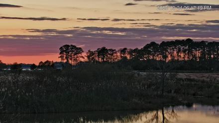 Blackwater Wildlife Refuge Osprey River Platform Live Cam - Oct 24, 2025, 6:18pm EDT