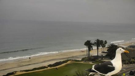 Del Mar Beach Overlook Roaming Live Webcam - Mar 30, 2026, 9:13am PDT