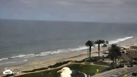 Del Mar Beach Overlook Roaming Live Webcam - Sep 21, 2026, 10:22am PDT
