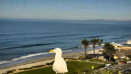 Del Mar Beach Overlook Roaming Live Webcam - Dec 5, 2025, 10:24am PST