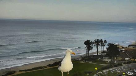 Del Mar Beach Overlook Roaming Live Webcam - Dec 3, 2025, 7:57am PST