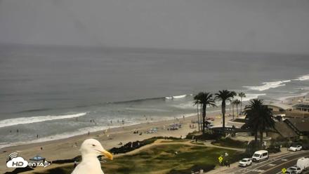 Del Mar Beach Overlook Roaming Live Webcam - Aug 4, 2026, 11:16am PDT